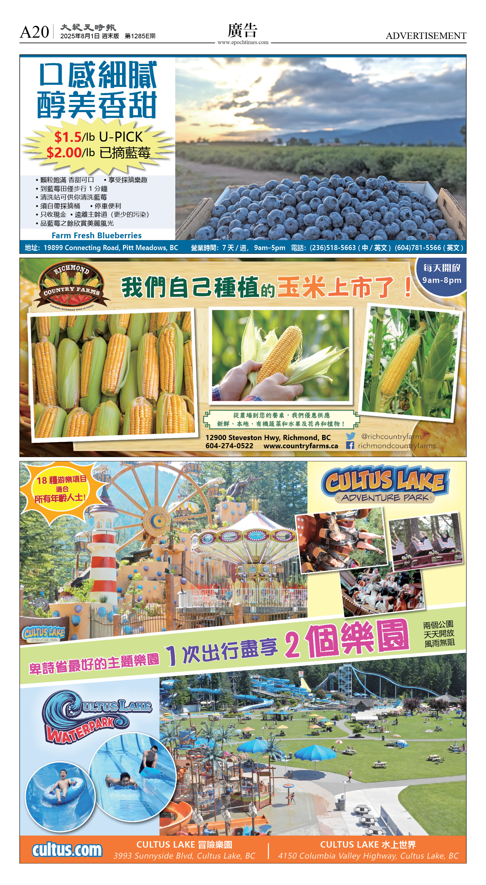cnd_1285E_A20CMYK_ADVERTISEMENT.jpg