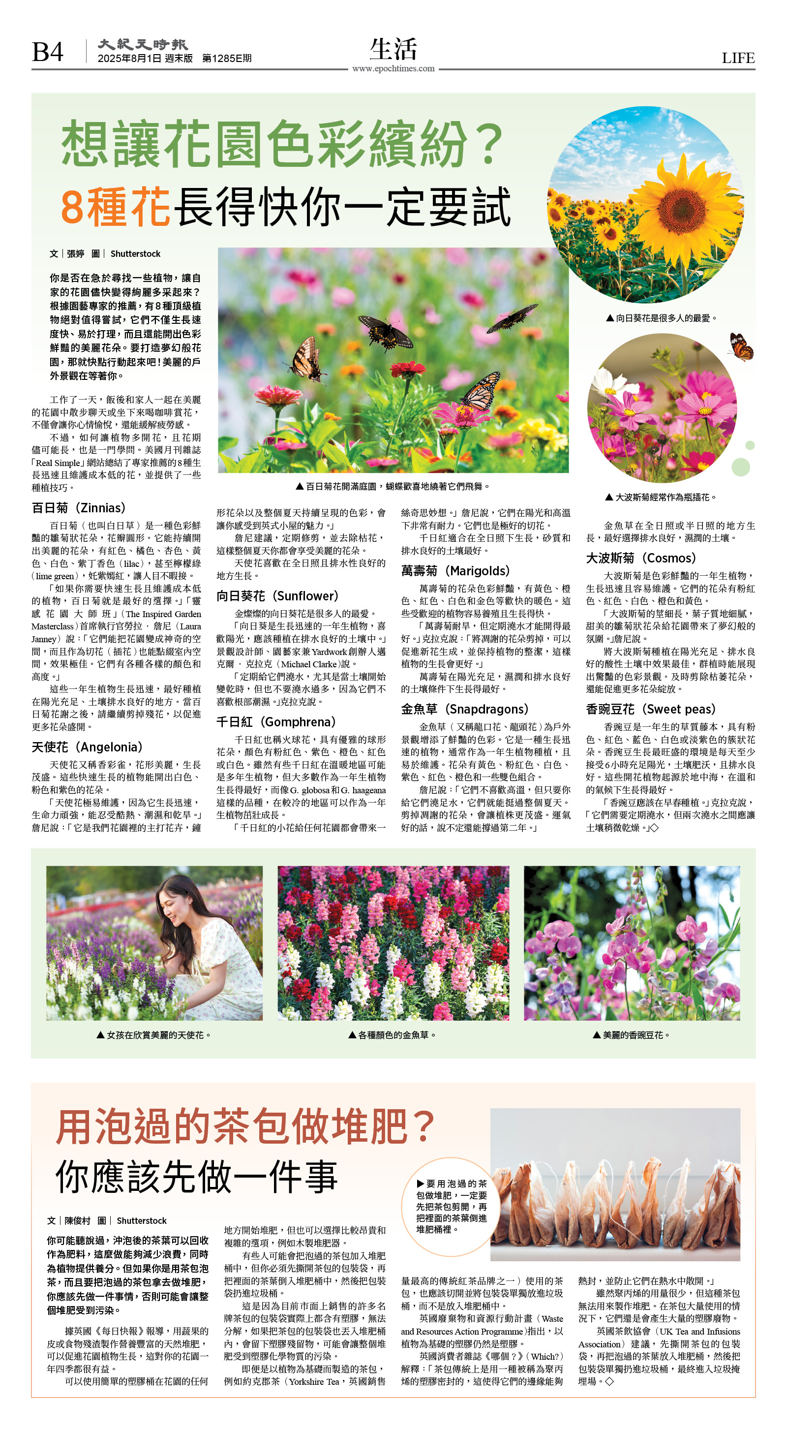 cnd_1285E_B04CMYK_LIFE.jpg