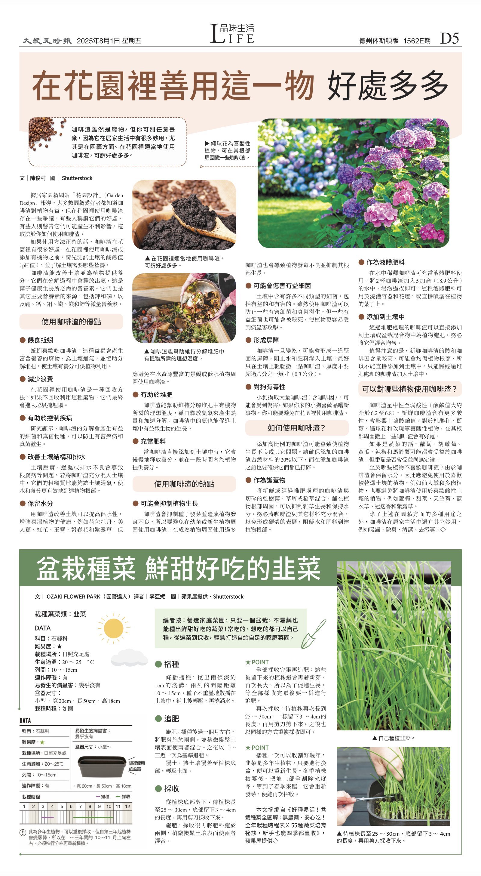djyhou_1562E_20250801_29.jpg