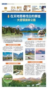 djylax_1562DW_20250731_33.jpg